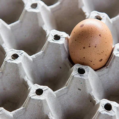 翻墙2025 - 2月26日20.5M/S|免费Shadowrocket节点/Clash节点/SSR节点/V2ray节点/Trojan节点/Singbox节点节点推荐，V2rayC梯子购买推荐